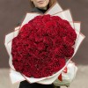 51 красная пионовидная роза Хартс